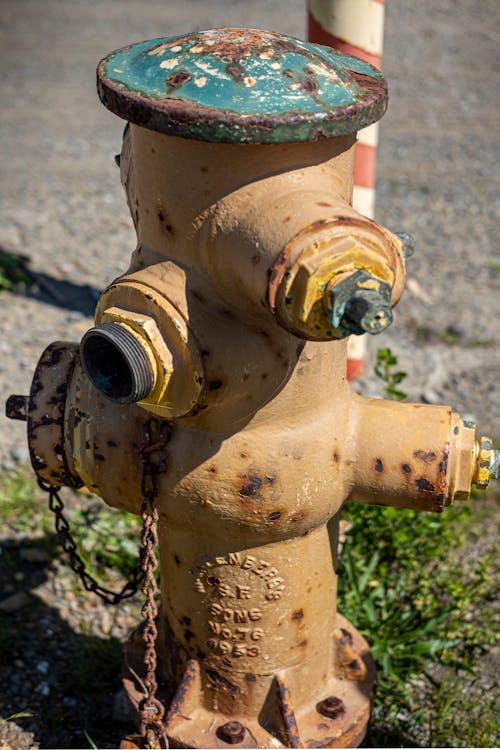 bezplatná Základová fotografie zdarma na téma bezpečnost, ocel, požární hydrant Základová fotografie