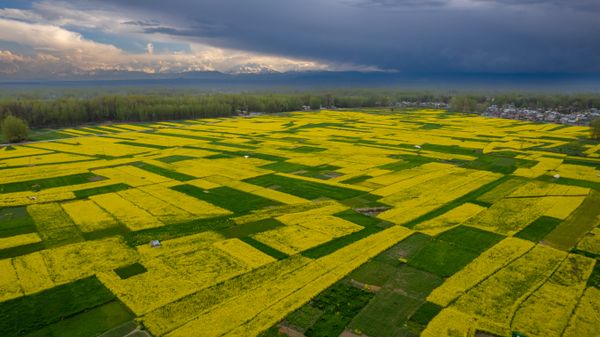 Kashmir Valley Family Explorer - 6 Days