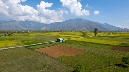Fotos de stock gratuitas de agricultura, campos, foto con dron