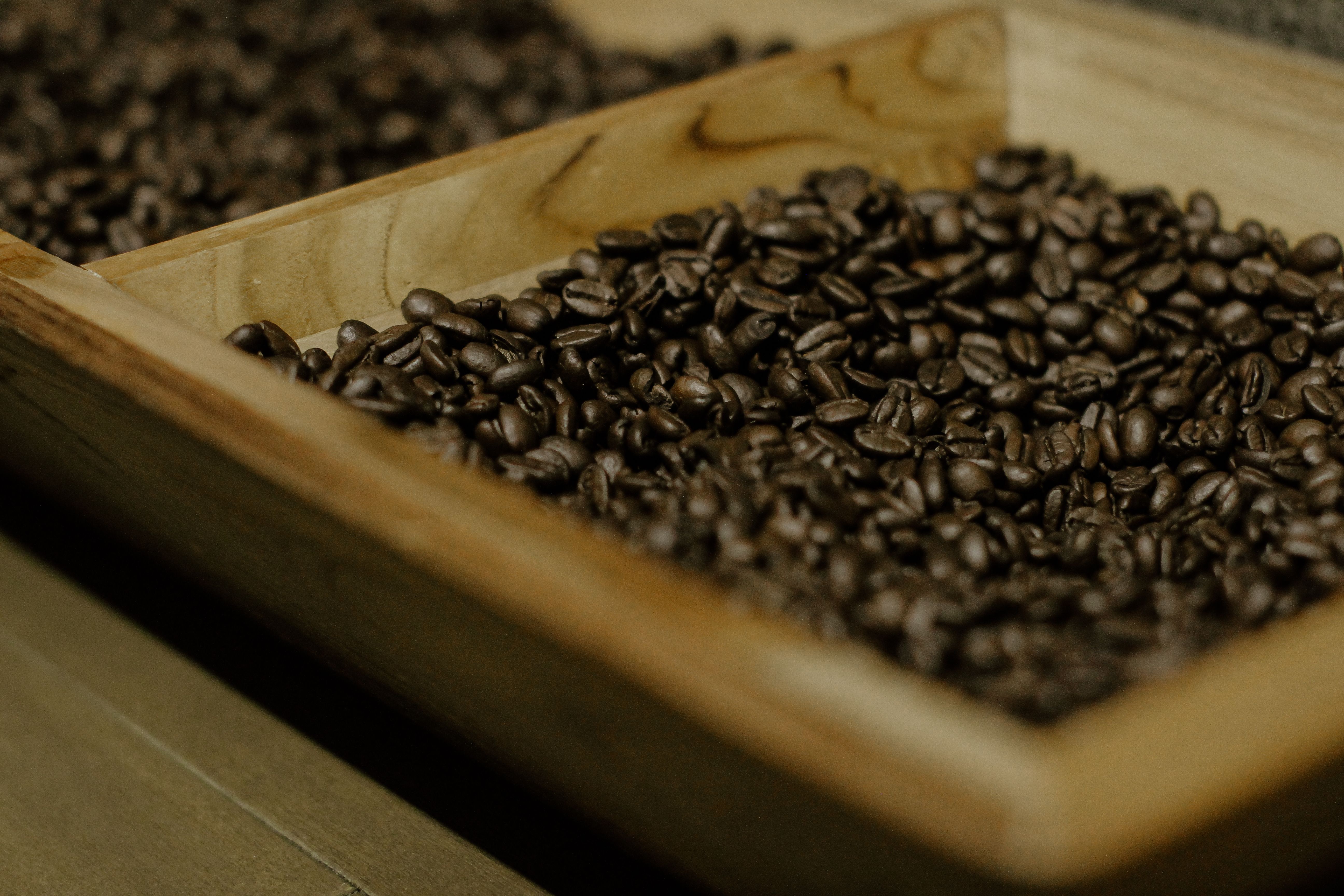 Kaffeebohnen in verschiedenen Röststufen