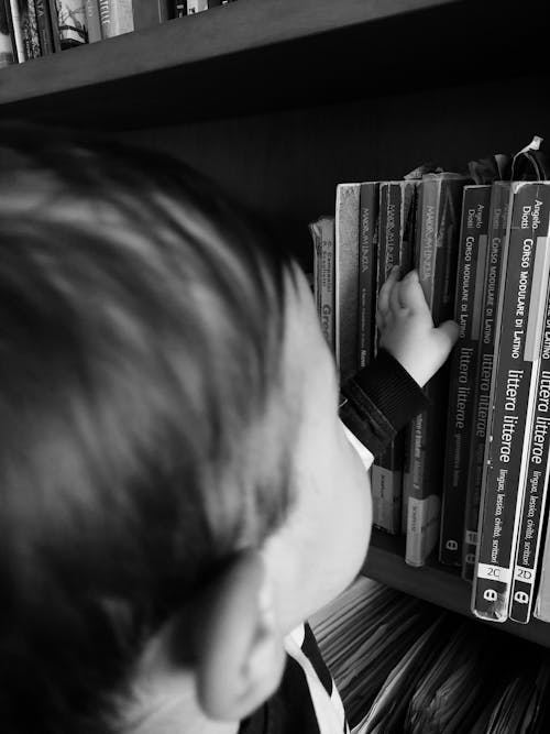 çocuk, kitap, kitaplık içeren Ücretsiz stok fotoğraf