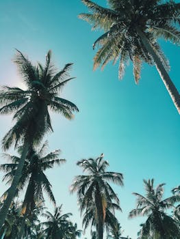 Stunning low-angle view of palm trees against a vibrant blue sky, capturing the essence of paradise.