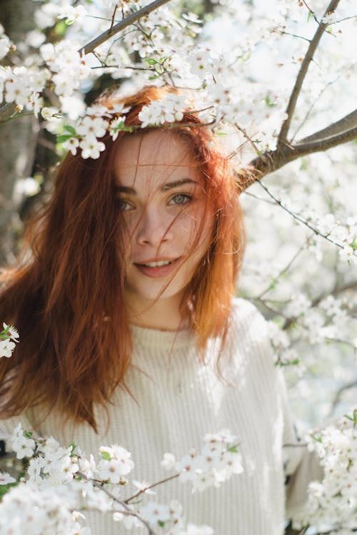 Fotos de stock gratuitas de árbol, cabello rojo, enfoque selectivo