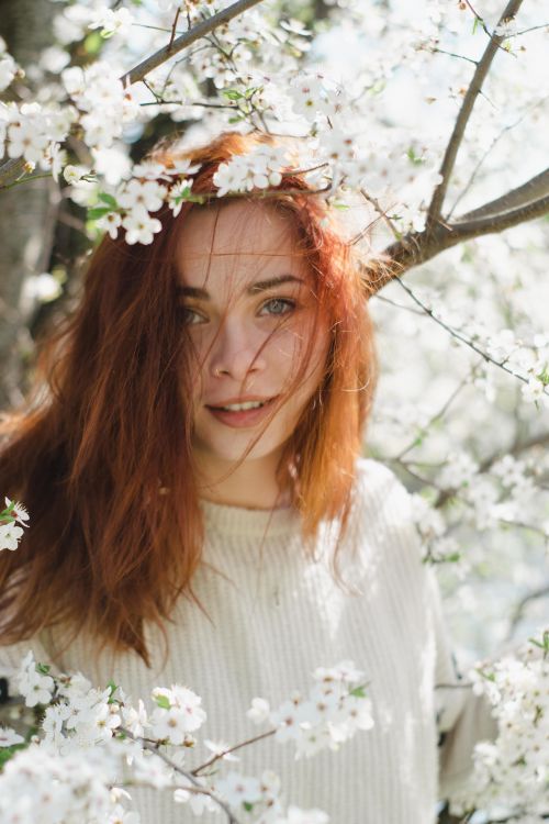 Free Redhead woman with a serene smile surrounded by white spring blossoms outdoors. Stock Photo