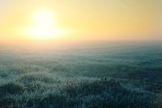 A serene frosty meadow with fog and a warm sunrise, captured on a winter morning.