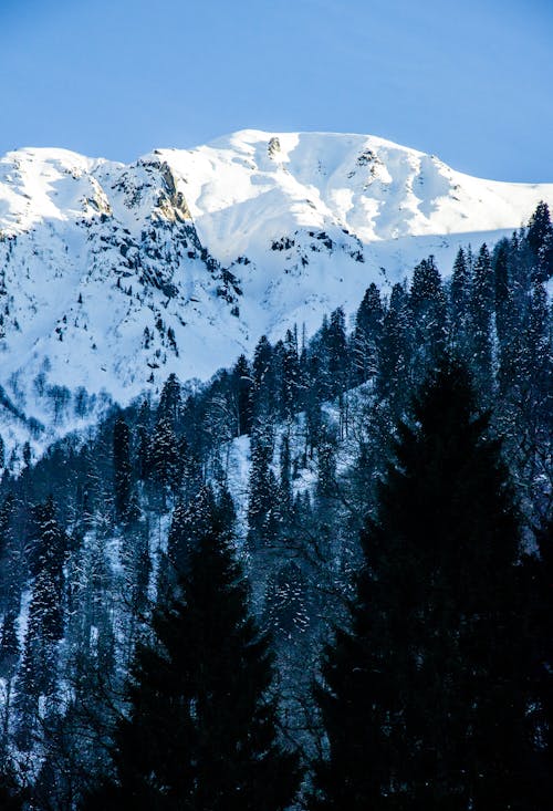 Gratis arkivbilde med fjell, fjellkjede, kraft i naturen