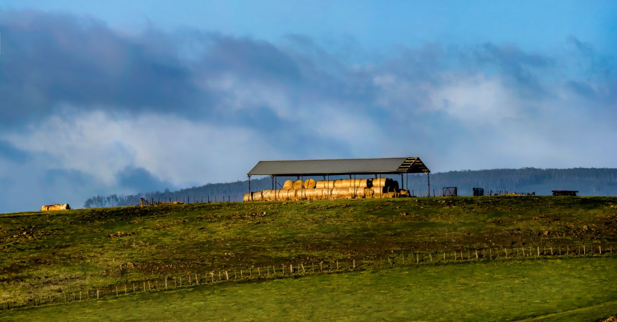 Idyllic countryside scene featuring a barn and hay bales on a hill under cloudy skies.