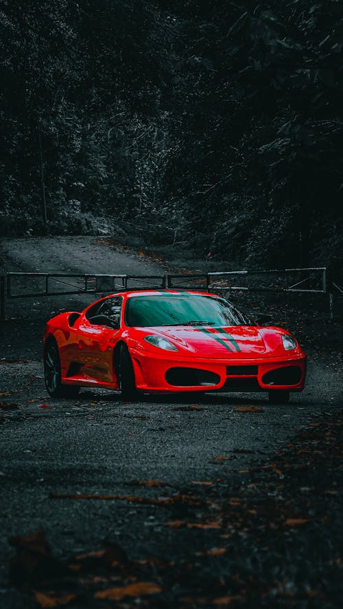 Ferrari, esportivo, carros, HD phone wallpaper