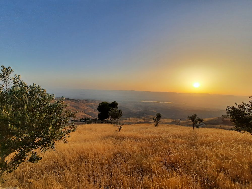 Foto profissional grátis de beleza natural, céu dourado, lindo pôr do sol