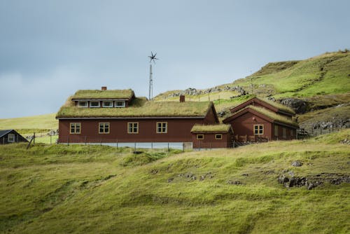 A House with Grass on the Roof on Faroe Islands