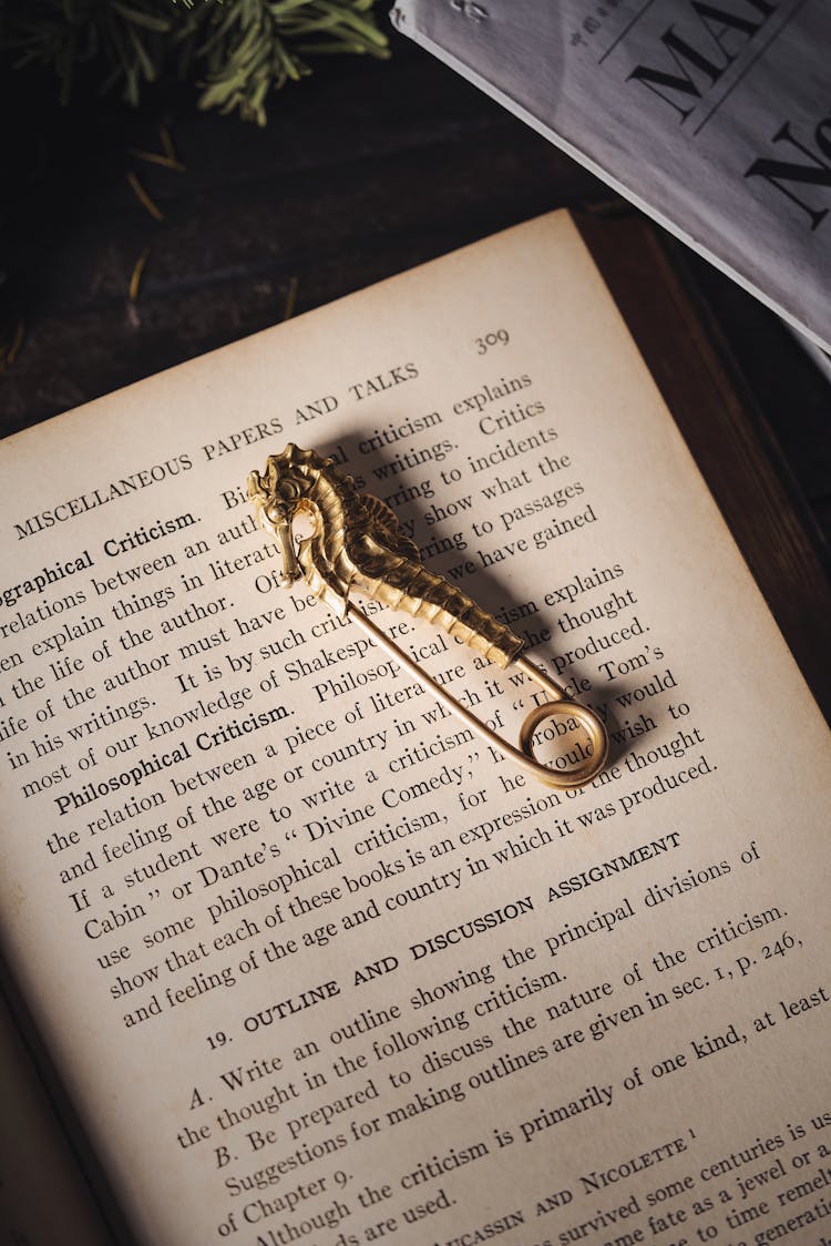 Pin In Shape Of Seahorse On Page Of Book