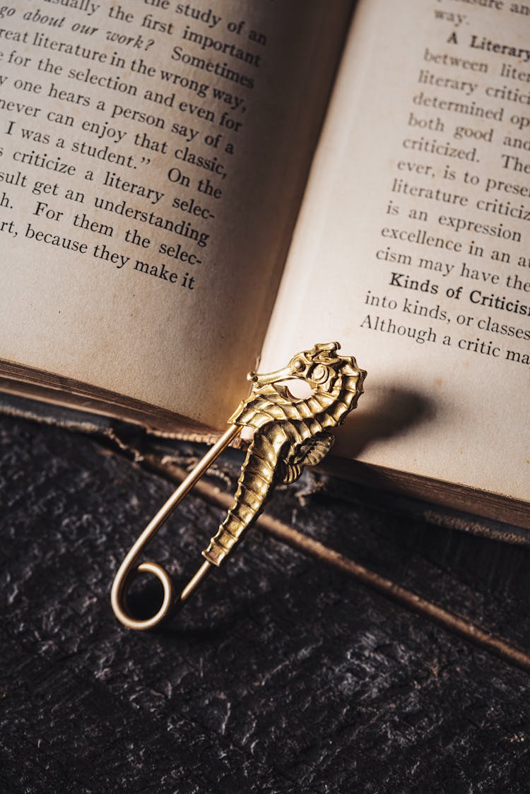 Antique Pin On Book