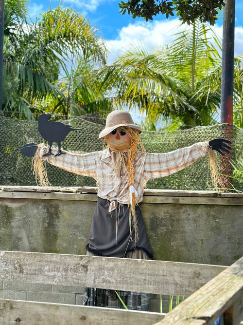 Free A scarecrow in a sunlit garden adorned with a hat and crow perched on its arm. Stock Photo