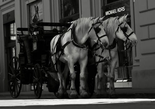 Two horses pulling a carriage down a street