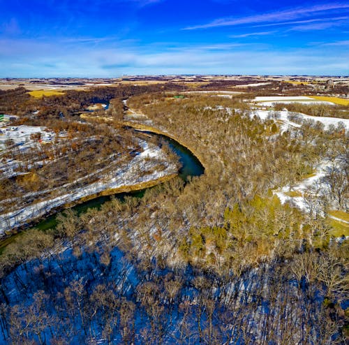 Aerial Photo Of Forest 