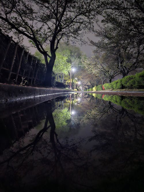 Çalışmak, park, yağmur içeren Ücretsiz stok fotoğraf