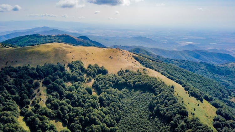 Bird's Eye View Of Mountain Cover By Trees