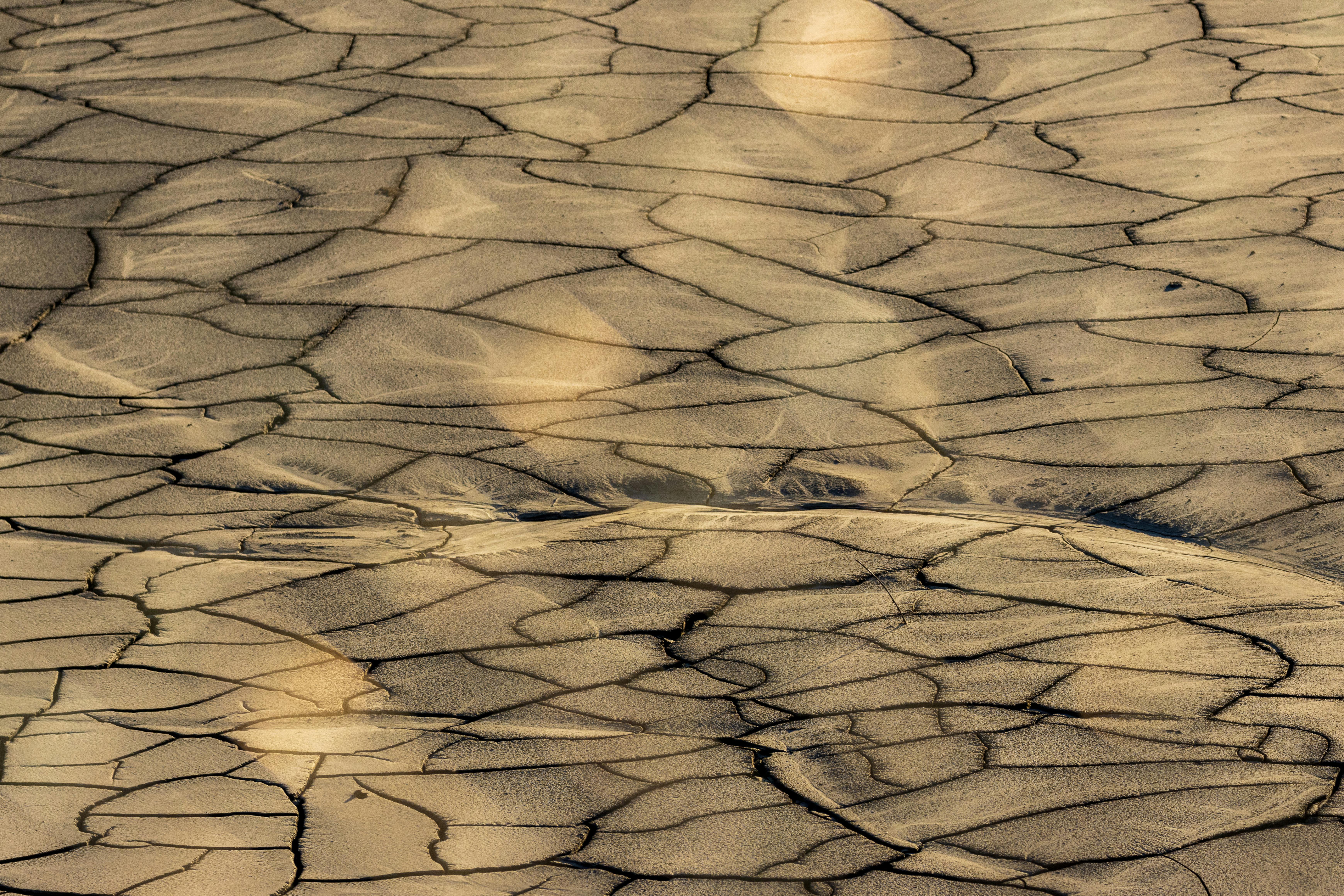 Image for Trump's Perverse Climate Policy: A Call to Action