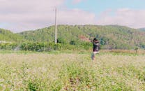 一位摄影师在阳光明媚的日子里，于郁郁葱葱的绿色乡村田野中拍照