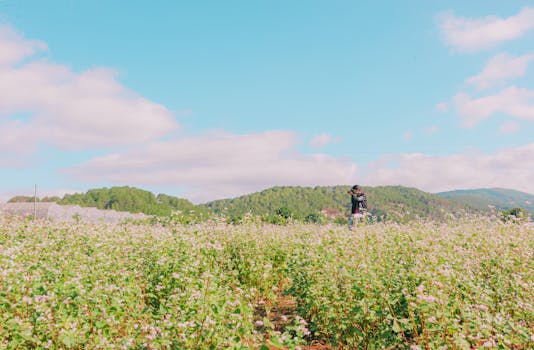 A photographer in a vibrant, blooming countryside field under a clear sky.