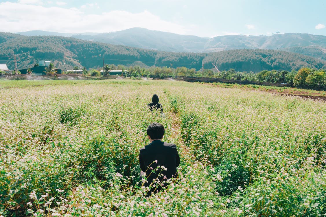 Základová fotografie zdarma na téma cestování, farma, hora