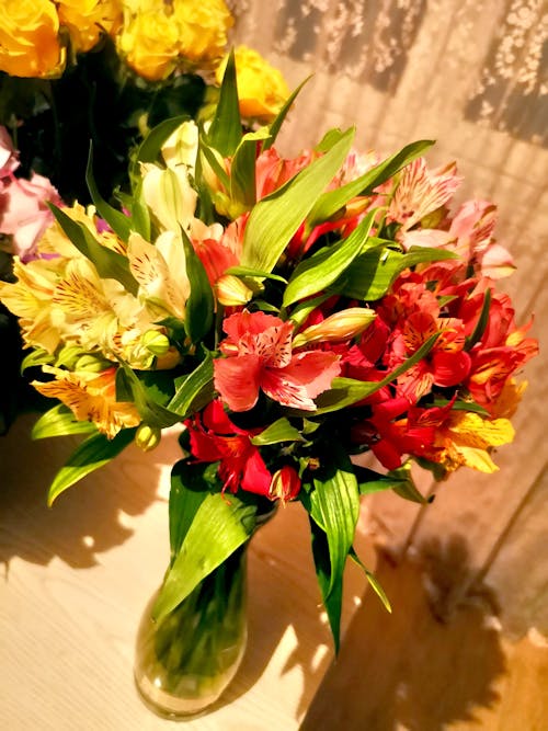buket, Çiçekler, güzel çiçekler içeren Ücretsiz stok fotoğraf