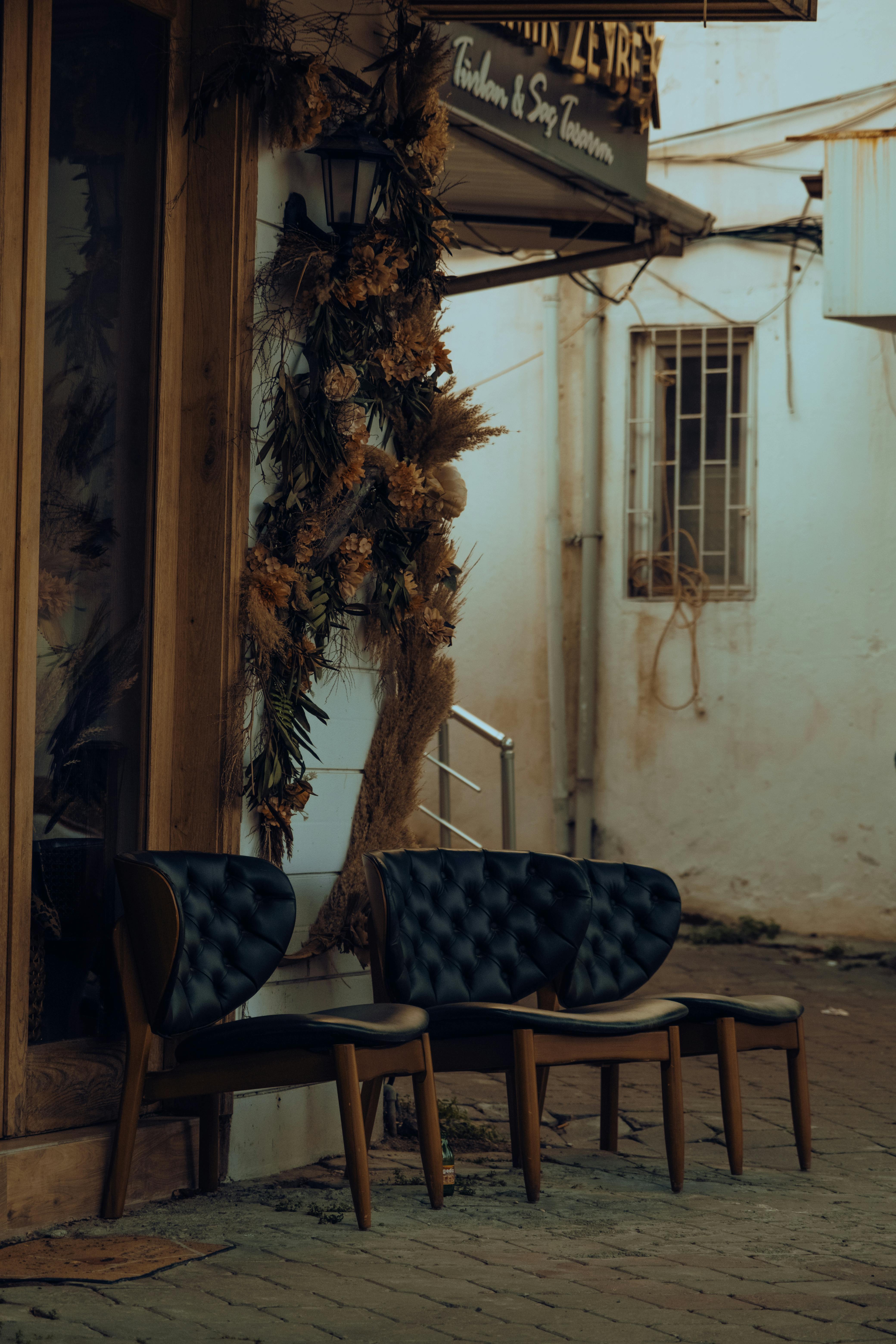 Gratuit Imagine de stoc gratuită din agățat plante, al fresco, alee Fotografie de stoc