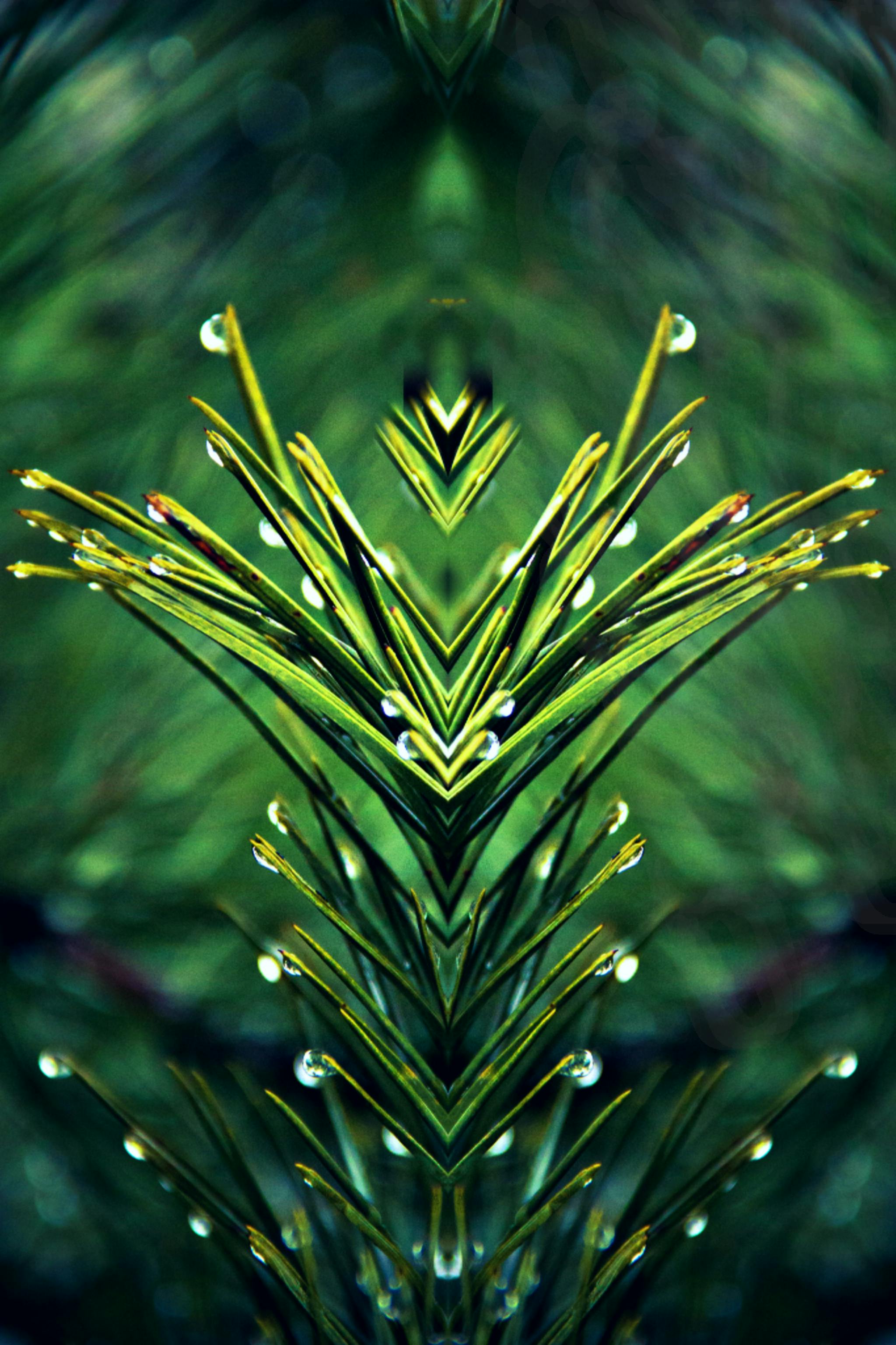 Photo Gratuite De Beaute Dans La Nature Fond D Ecran Hd Fonds D Ecran Hd Photo Gratuite De Beaute Dans La Nature Fond D Ecran Hd Fonds D Ecran Hd