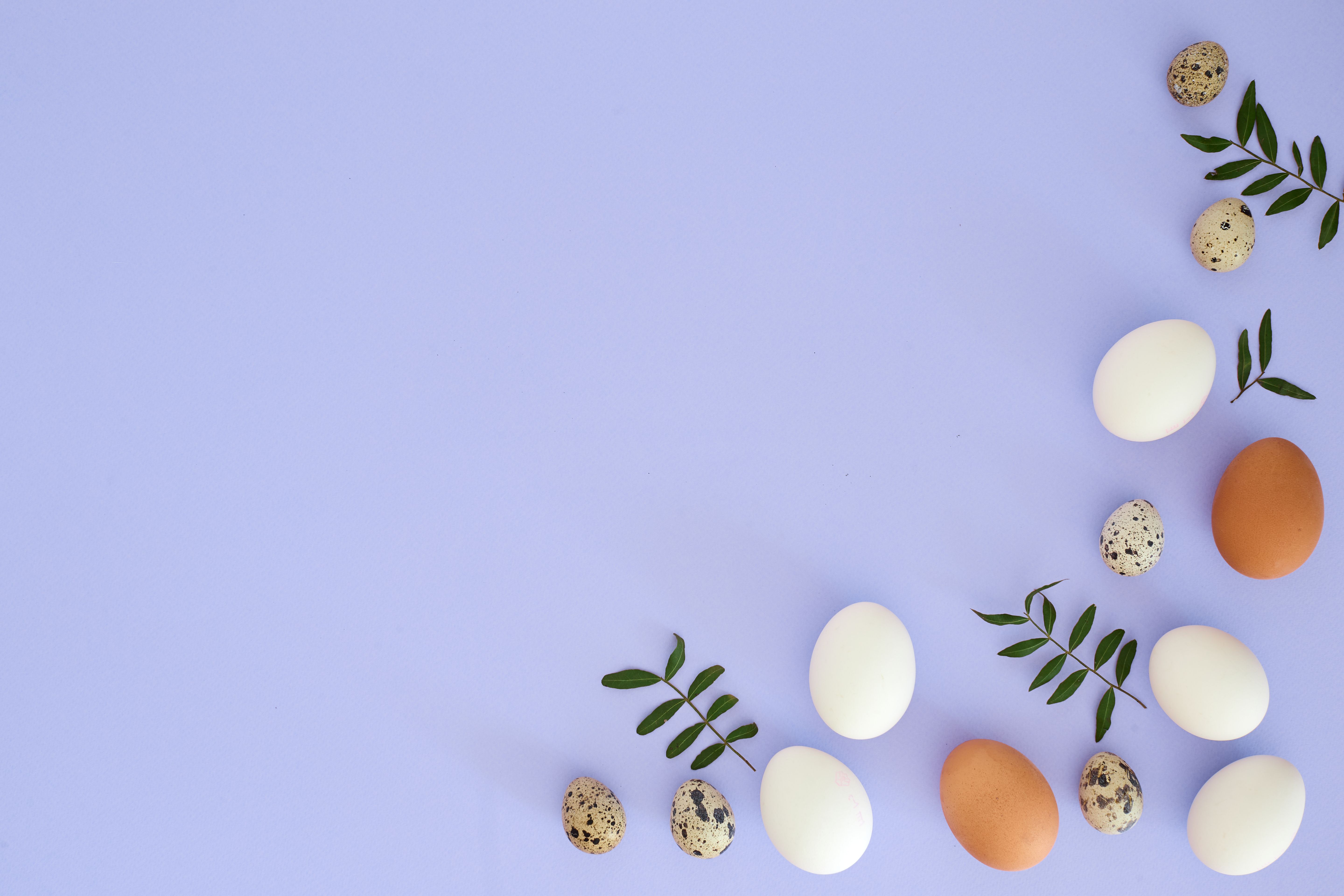 Widespread Egg Recall in Southern U.S. Amid Salmonella Concerns