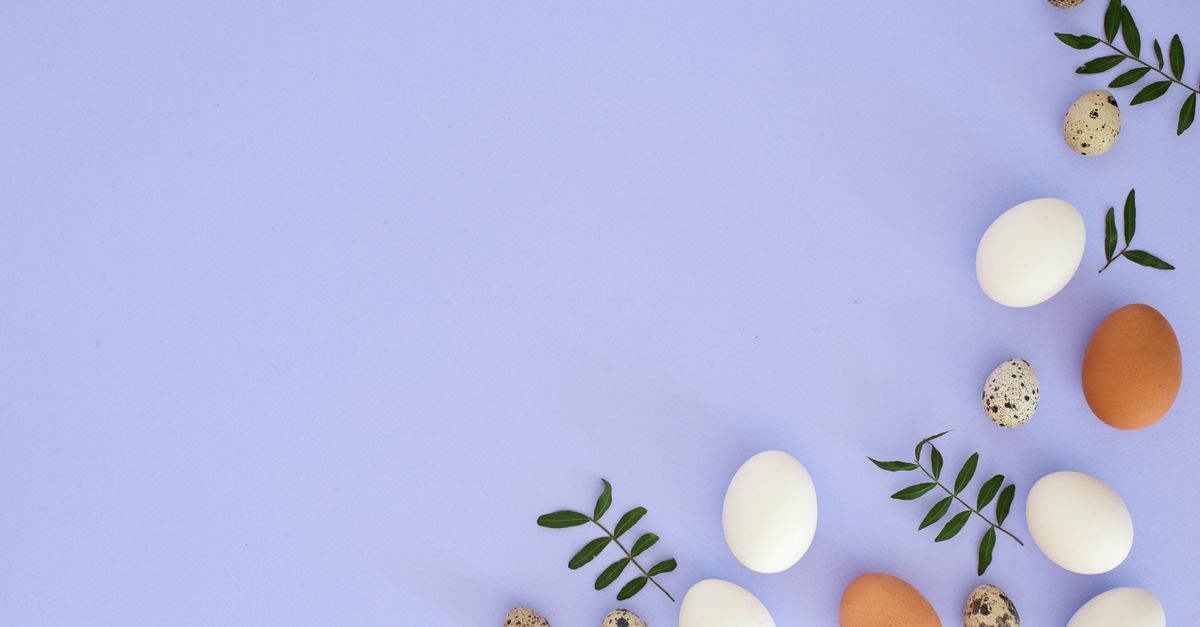 Widespread Egg Recall in Southern U.S. Amid Salmonella Concerns