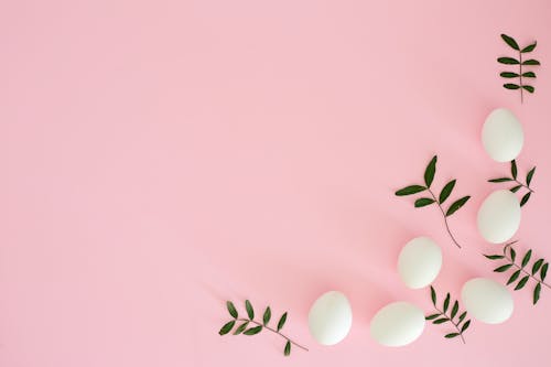 Pink Background with a Corner Decoration from Leaves and Eggs