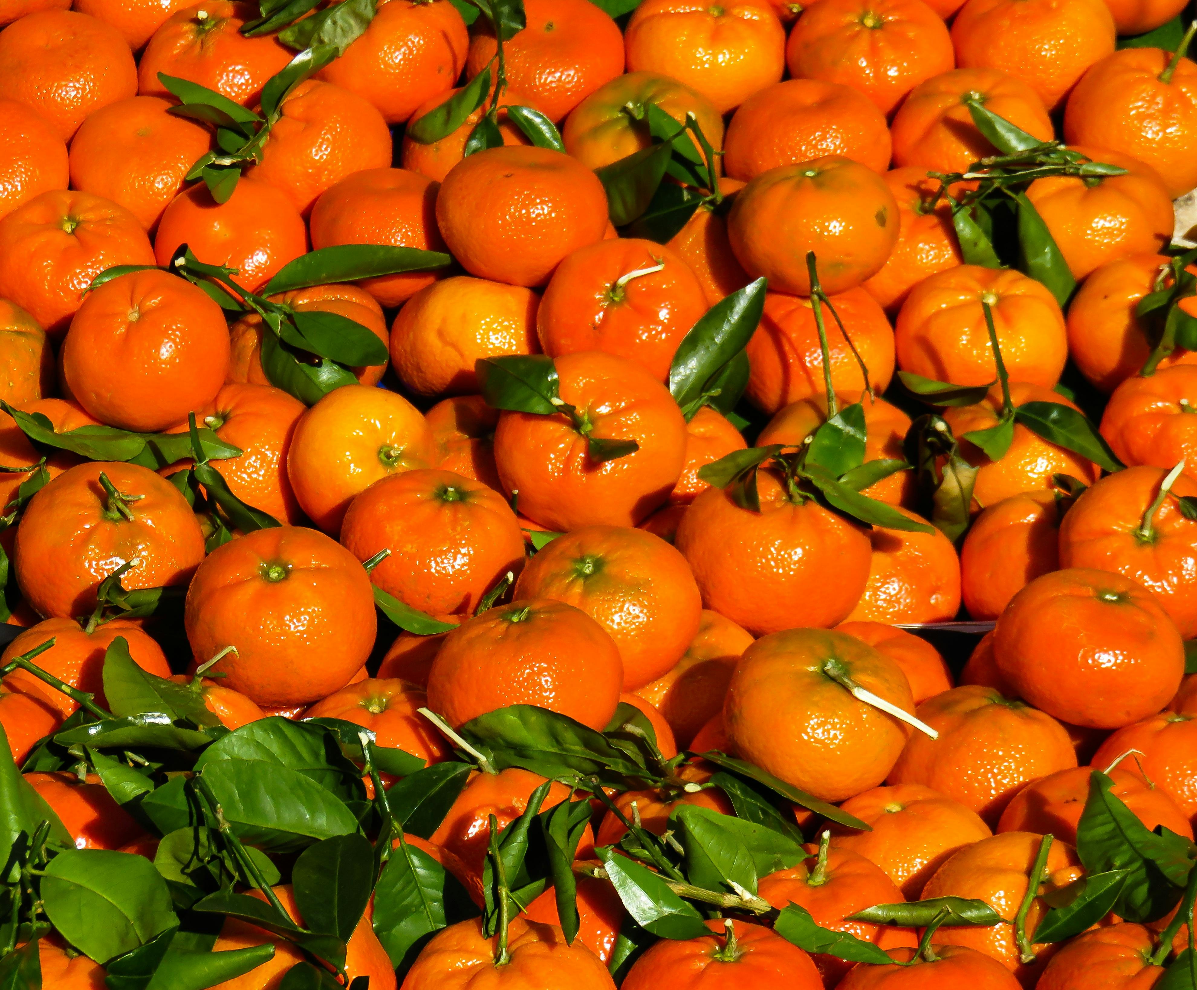 Foto stok gratis tentang buah  jeruk  jeruk  keprok 