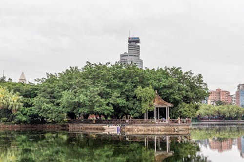 A Pavilion on the Edge of a Pond in City 