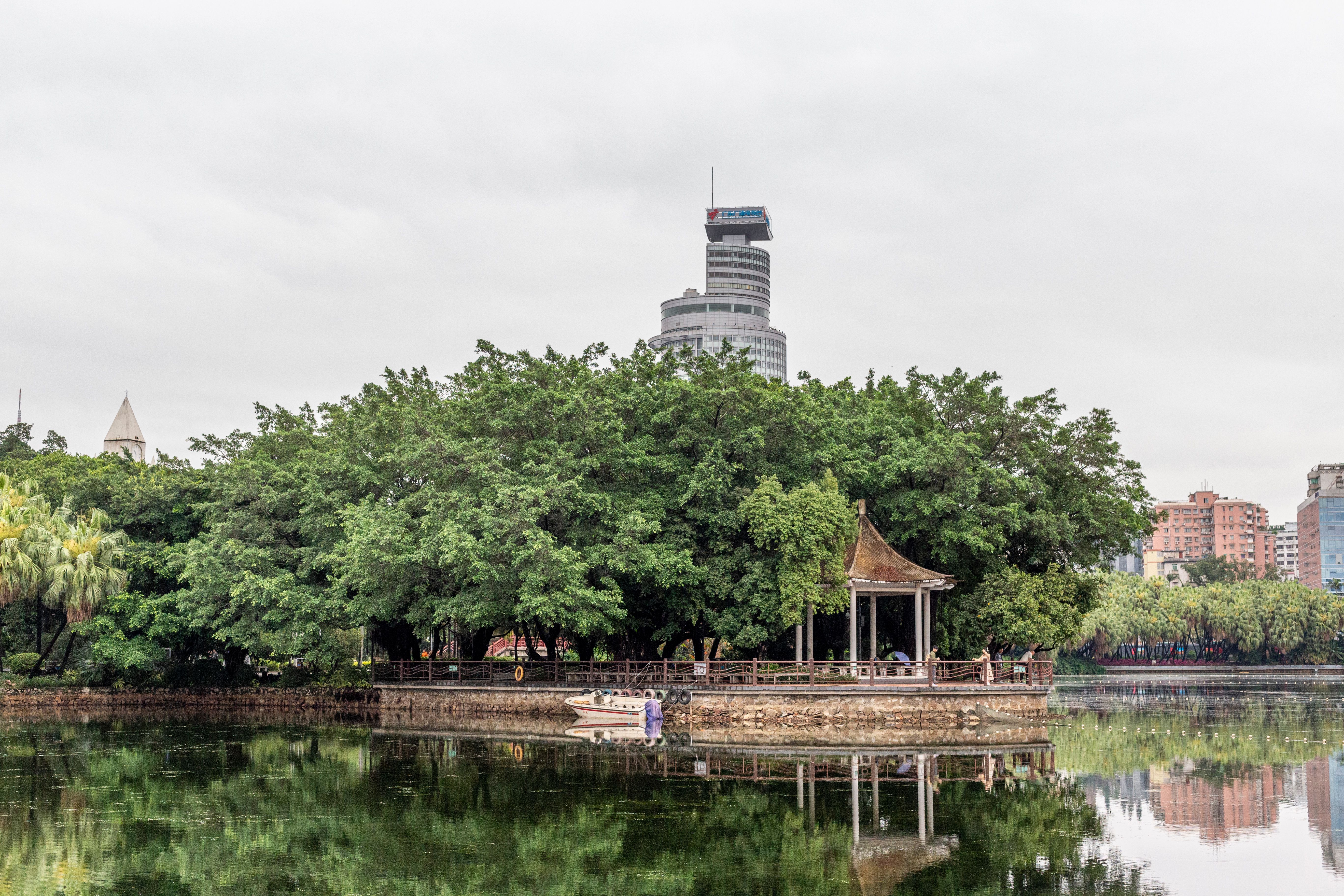 A Pavilion on the Edge of a Pond in City · Free Stock Photo