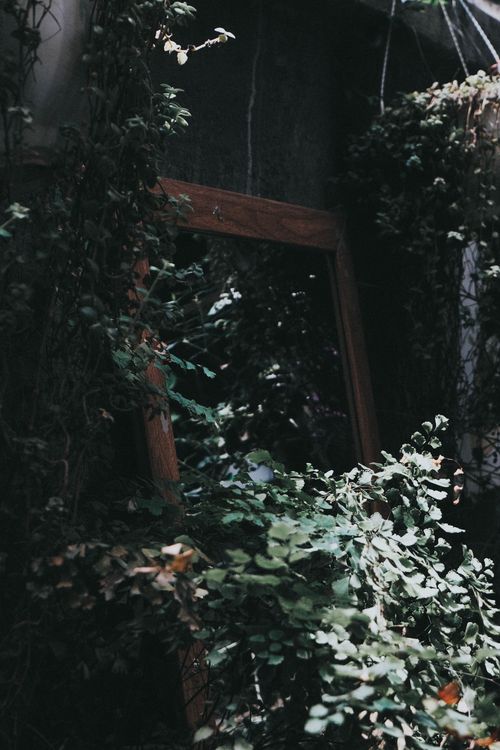 Free A vintage mirror surrounded by lush ivy and leaves in a sunlit garden setting. Stock Photo