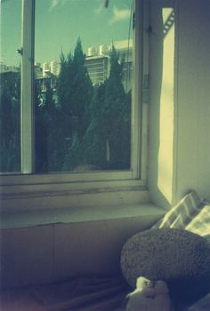 A serene indoor view through a window showing trees and a cityscape, with soft pillows by the sill.