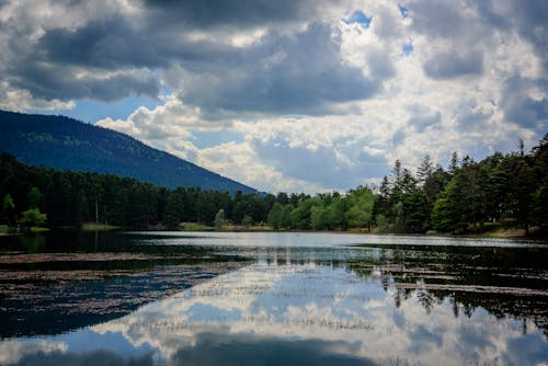 Imagine de stoc gratuită din codru, lac, nori