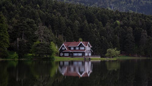 Foto profissional grátis de árvores, beira do lago, casa