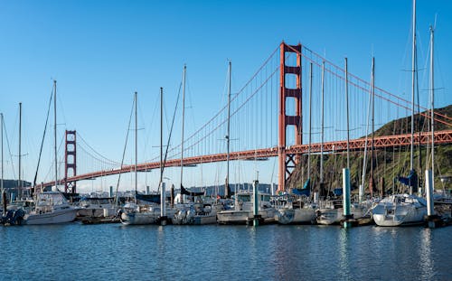 Fotobanka s bezplatnými fotkami na tému Golden Gate Bridge, kotviaci, malé plachetnice