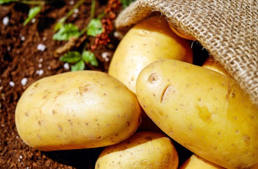 Closeup Photo of Potatoes