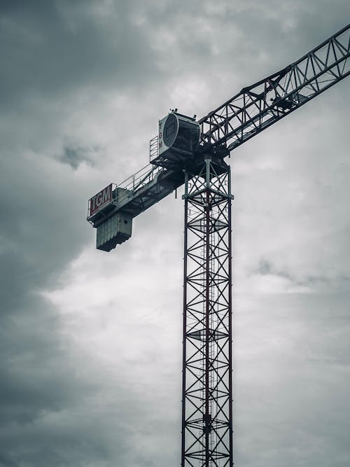 Black and White Picture of Cranes on the Background of a Black and White Picture of Cranes on the Background of a