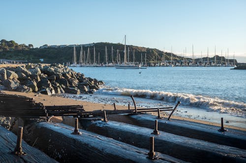 bağlı, deniz, kum içeren Ücretsiz stok fotoğraf