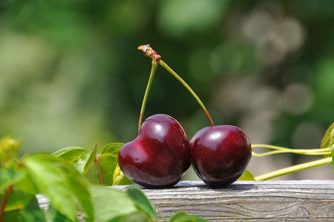 Free Close Up Photography of a Red Cherry Fruit Stock Photo
