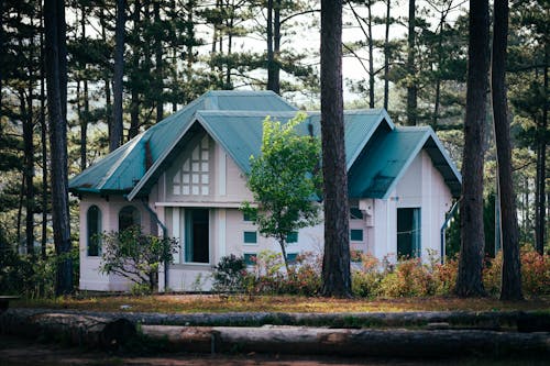 A Bungalow between Trees in a Forest 