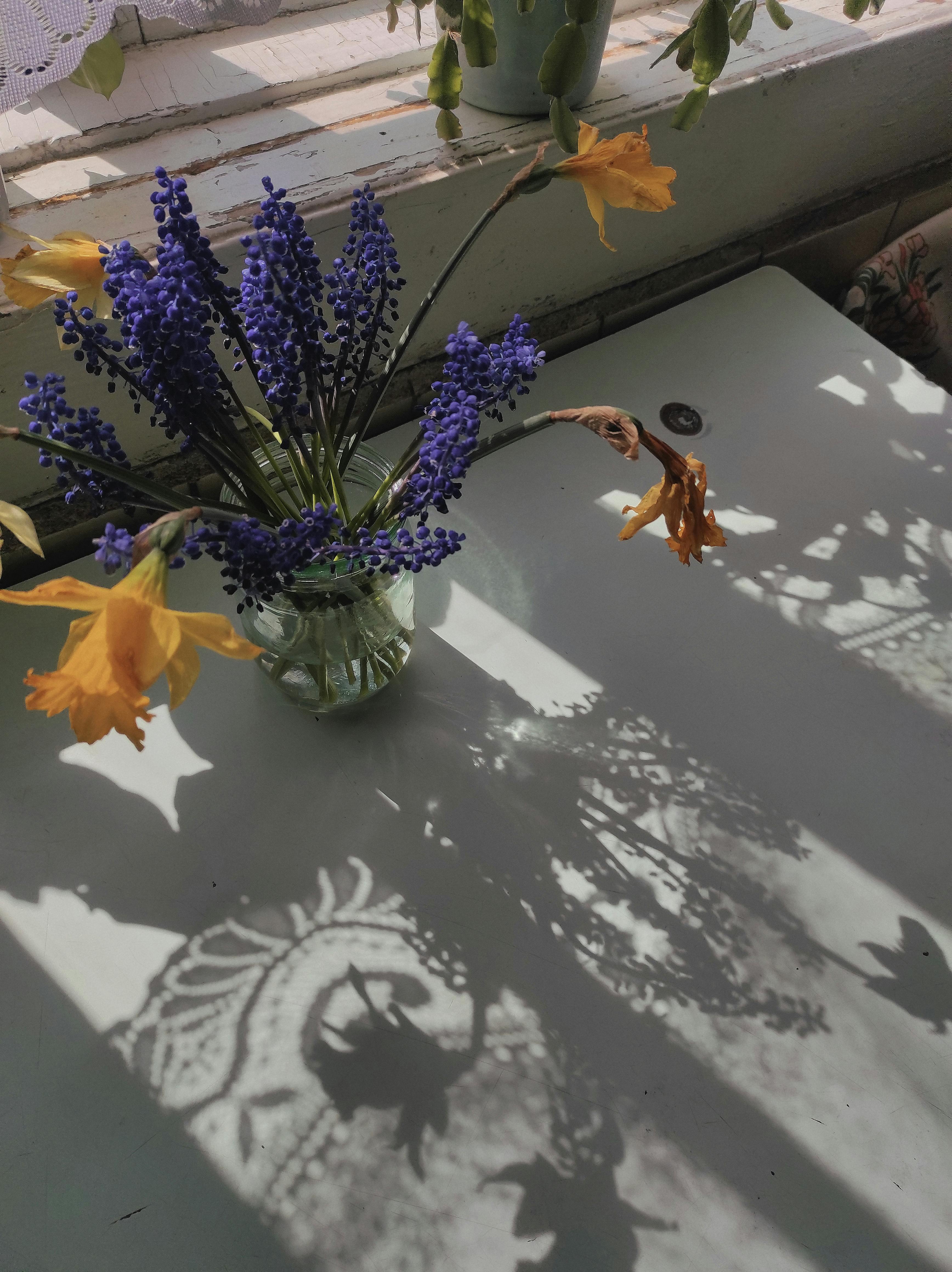 Leaky Vase Photos, Download The BEST Free Leaky Vase Stock Photos & HD