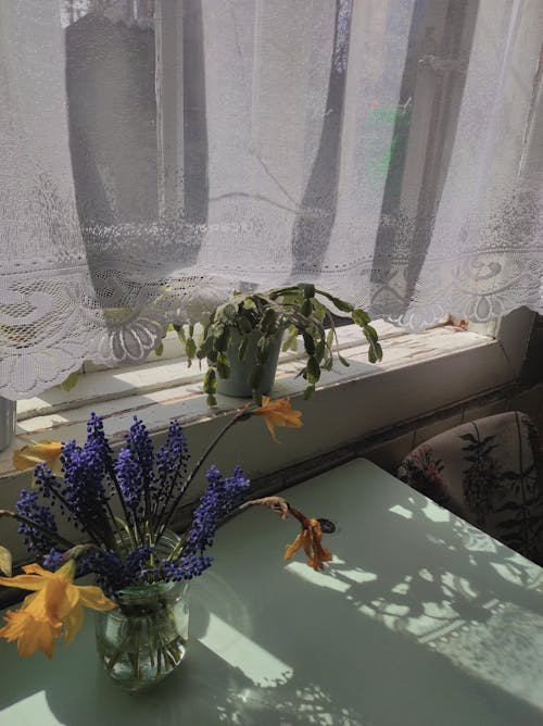 Flowers in Glass Jar by Houseplant in Pot on Windowsill