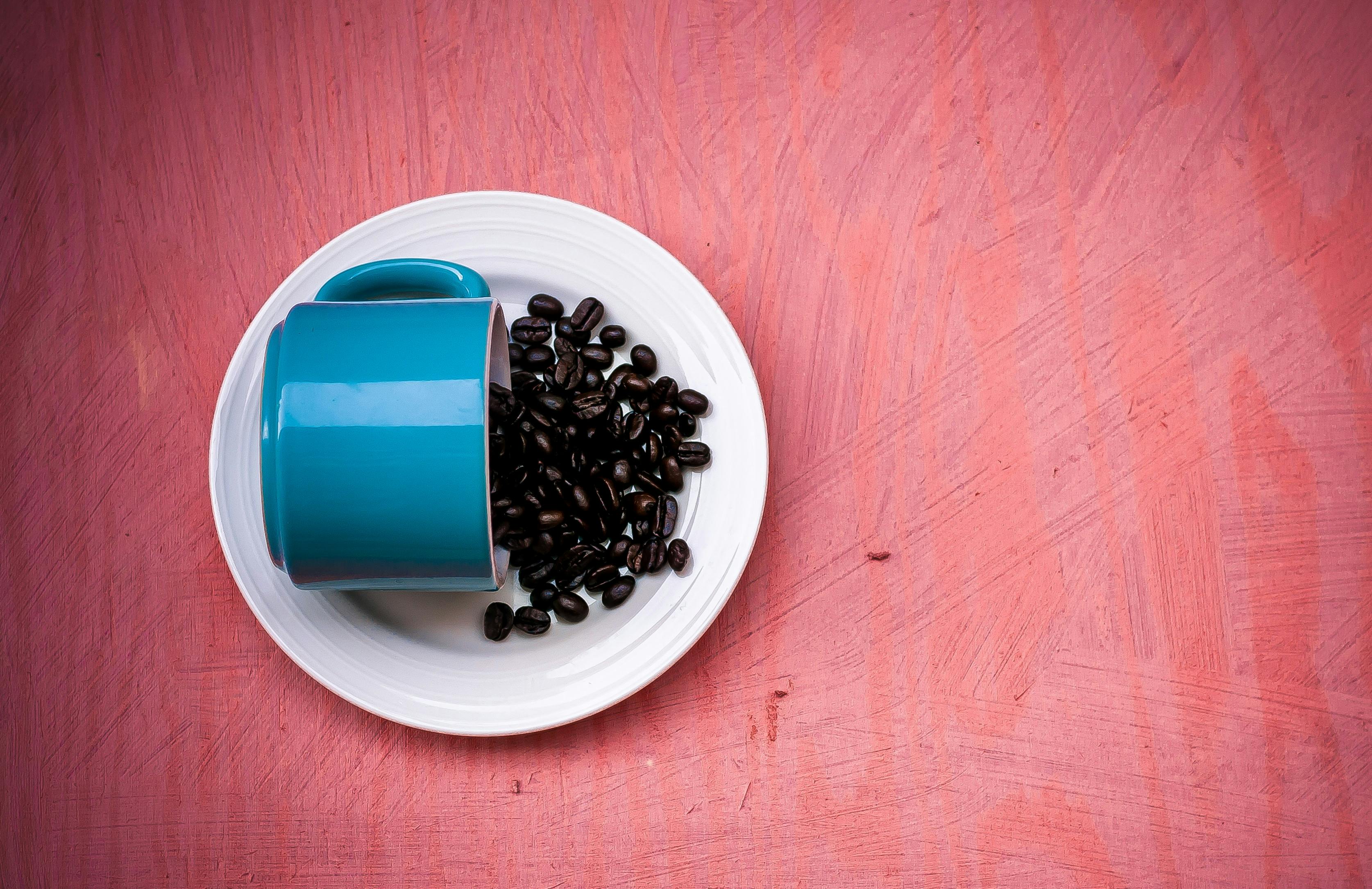 happy coffee free stock photo blue flower wallpapers
