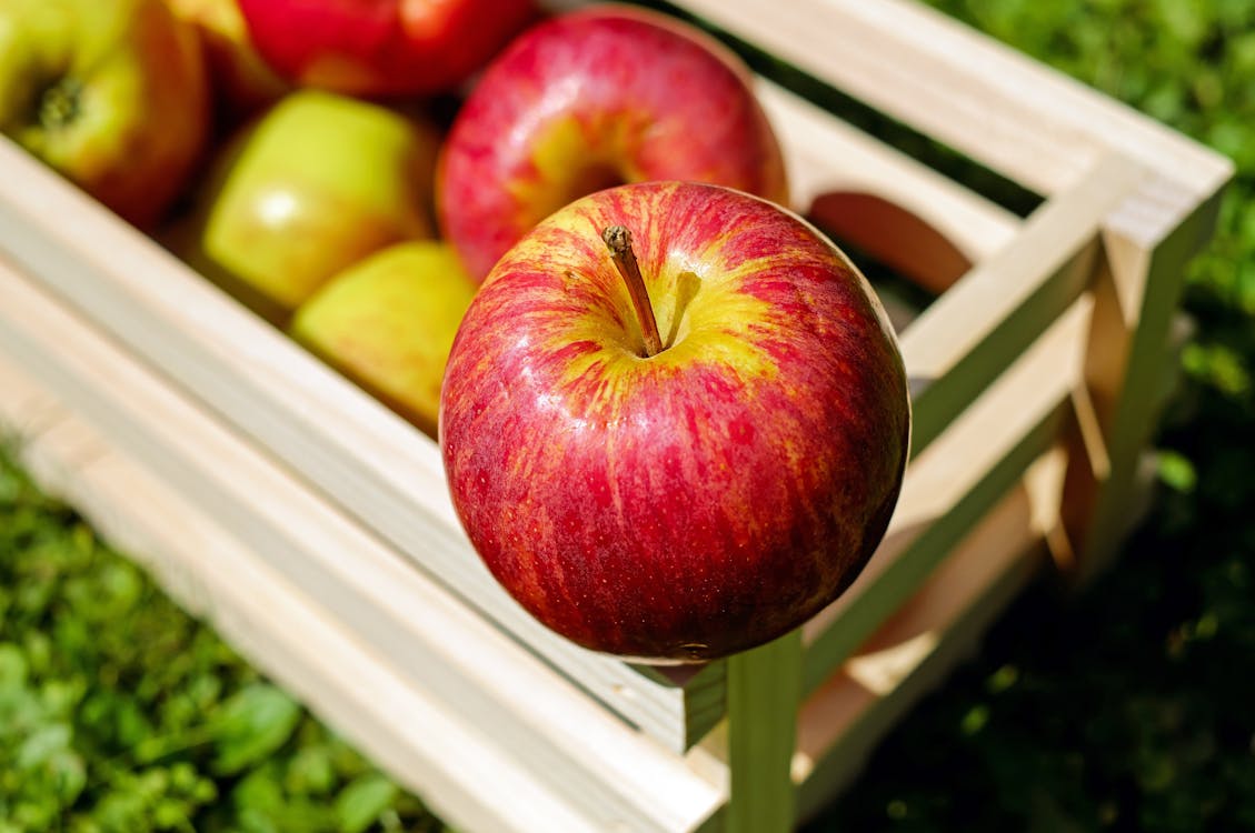 Free Red Apple Stock Photo