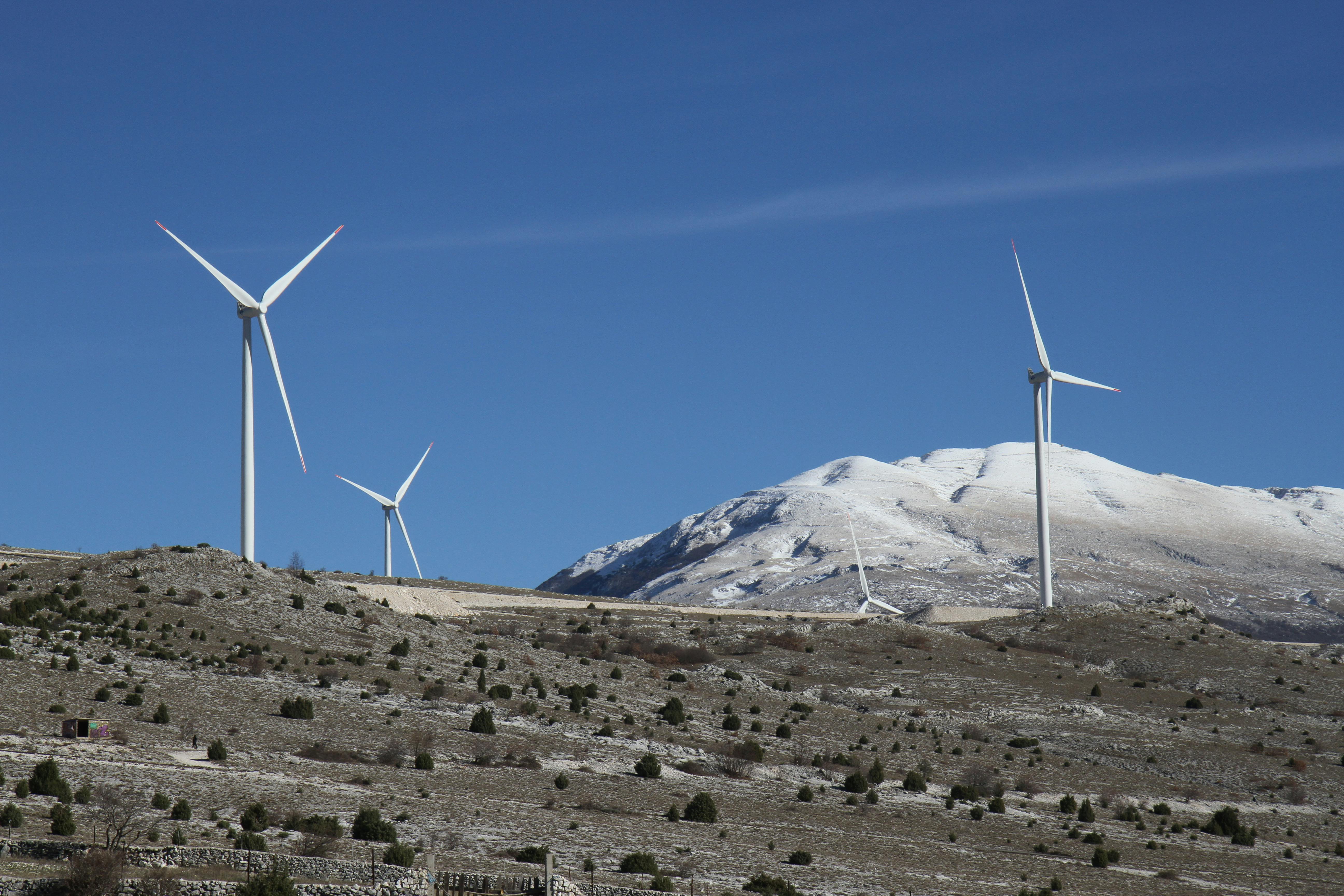 Renewable energy deployment: assessing benefits and challenges for ecosystem services — Photo by Dragan Tomić on Pexels