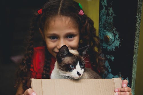 Girl with a Cat in a Box 